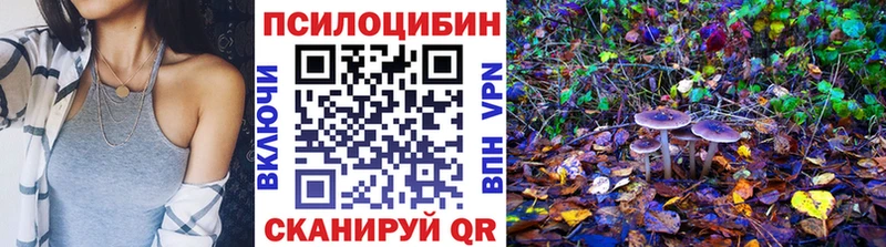 купить наркотики цена  Петропавловск-Камчатский  Галлюциногенные грибы Psilocybe 